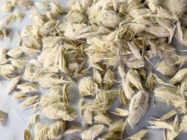 Short Glass-Fibre Reinforced